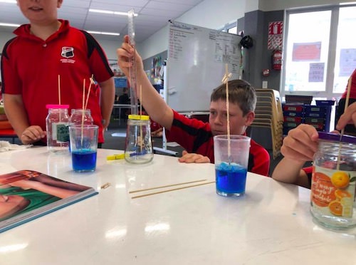 Science 3
